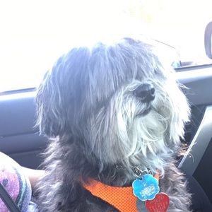 Meet your Posher, Fernanda